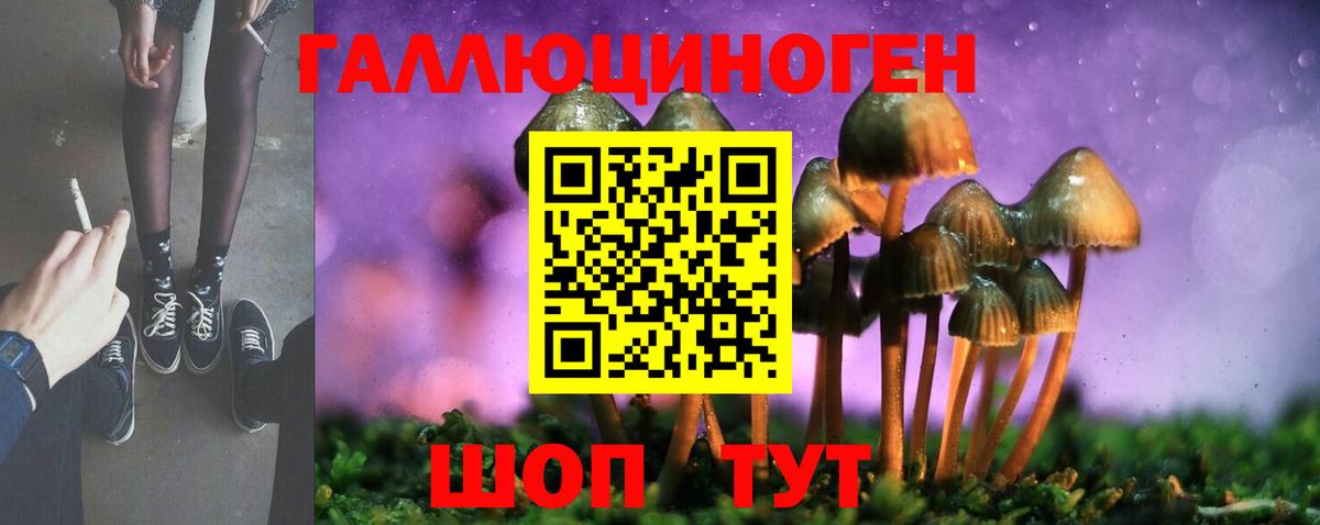Екатеринбург  Псилоцибиновые грибы прущие грибы  Псилоцибиновые грибы Psilocybine cubensis  как найти наркотики  Вход с VPN 